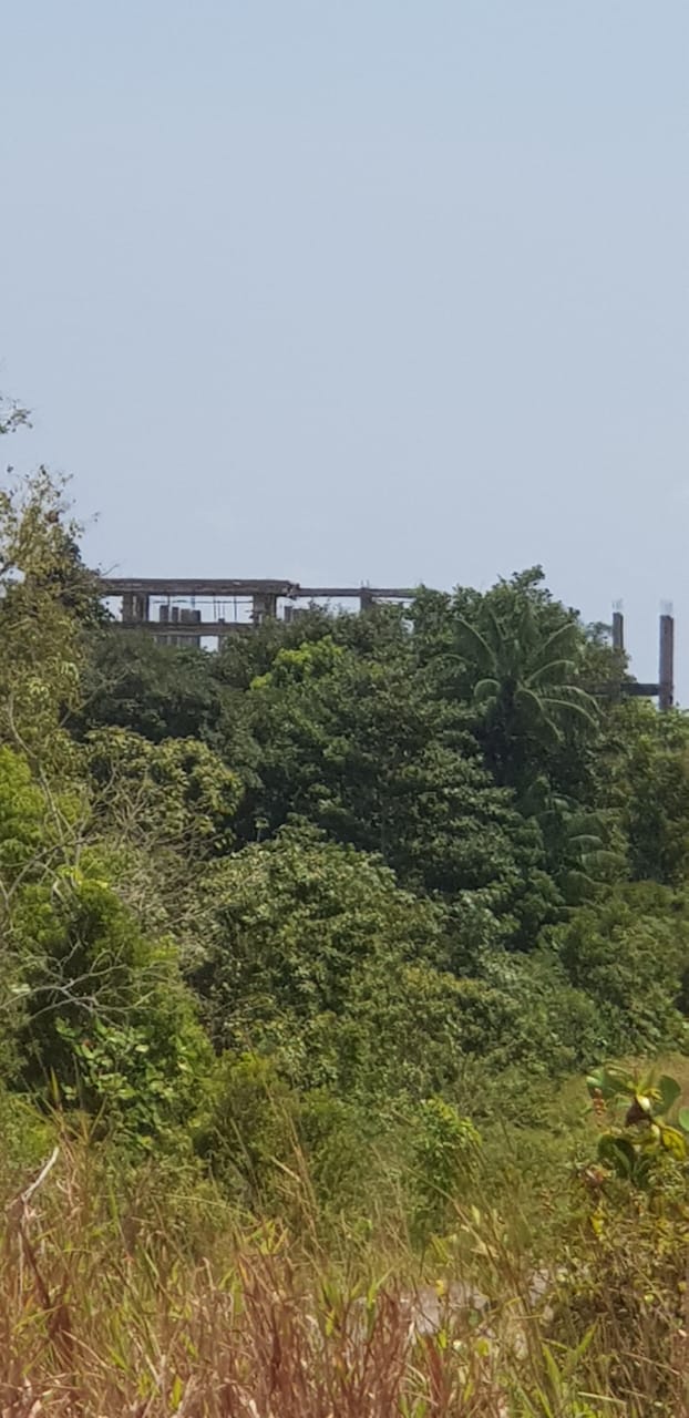 WhatsApp Image 2025-11-01 at 12.39.07